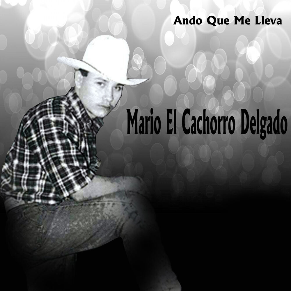 Picture of Ando Que Me Lleva