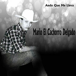 Cover of Ando Que Me Lleva