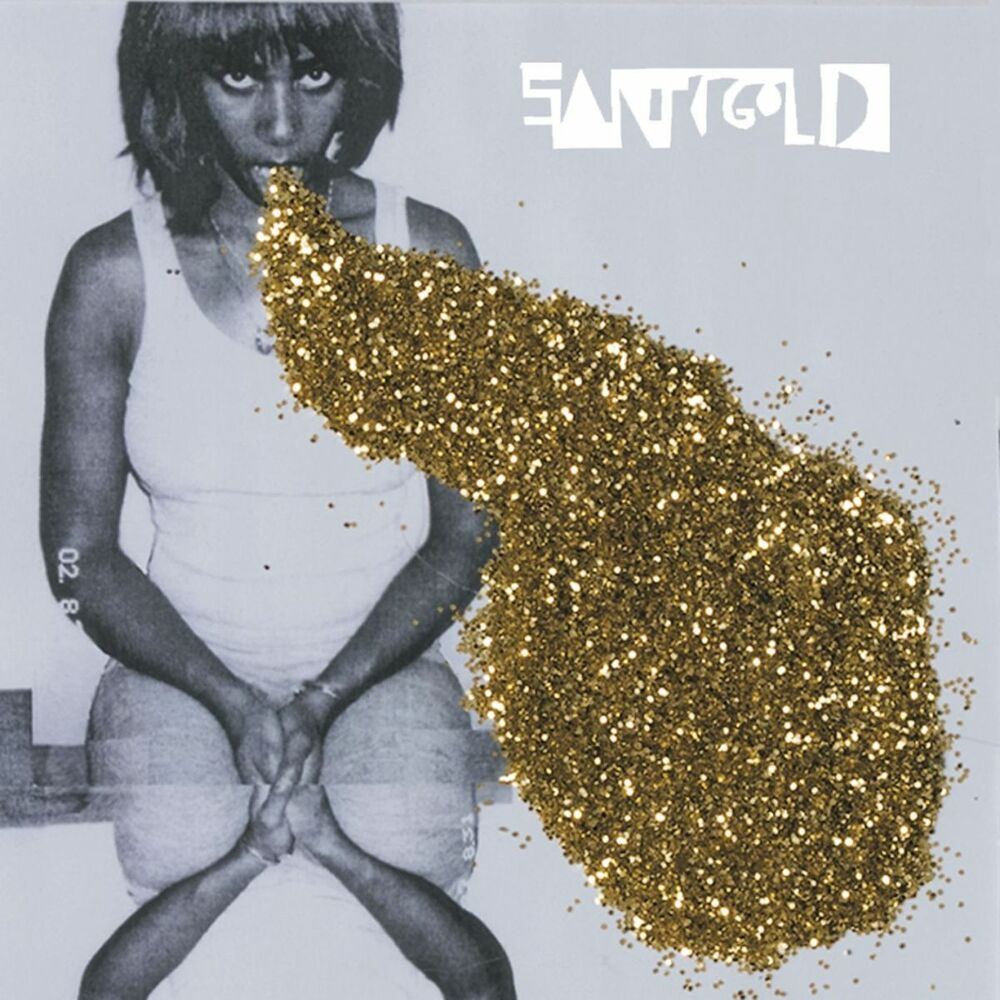 Picture of Santigold