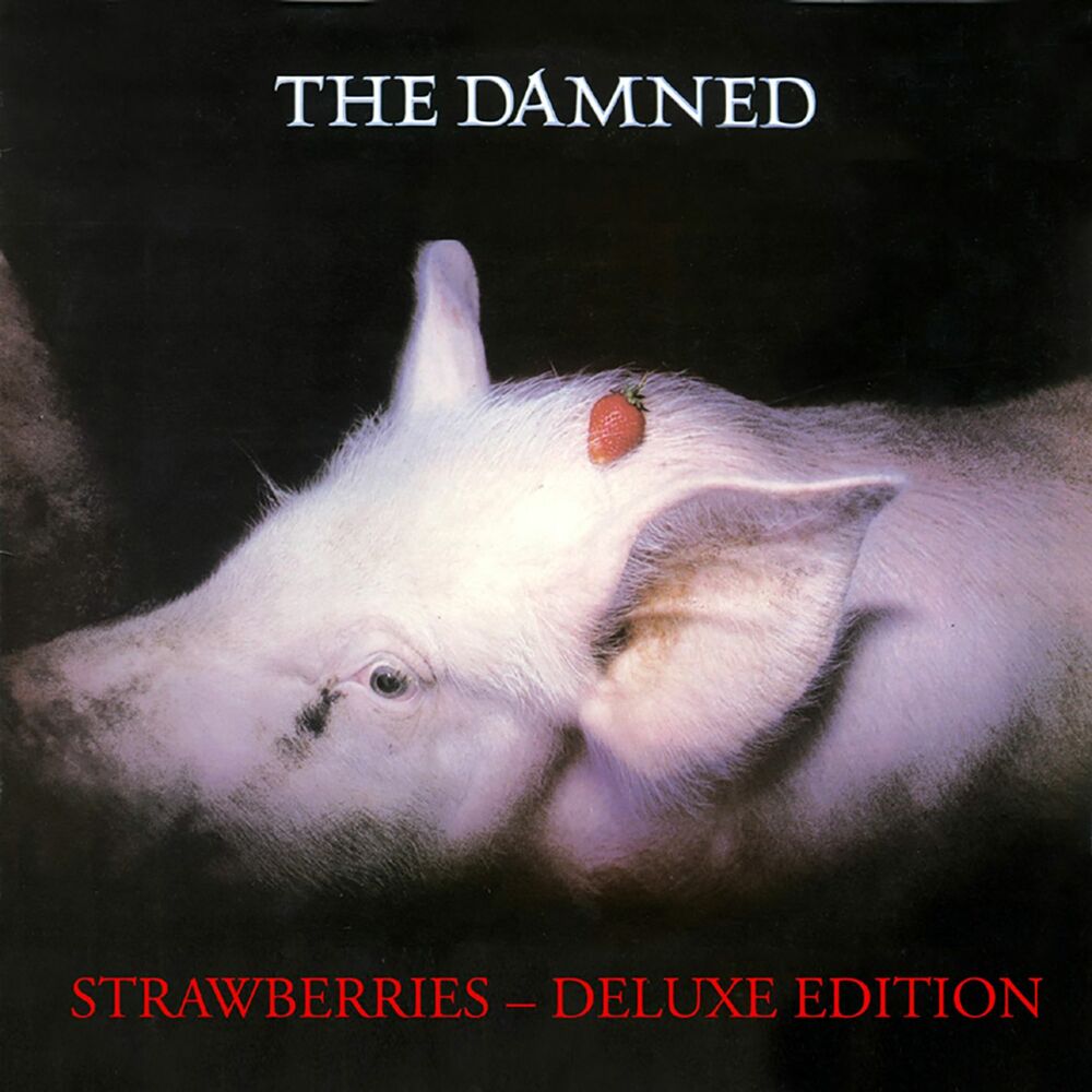 Picture of Strawberries (Deluxe Edition)
