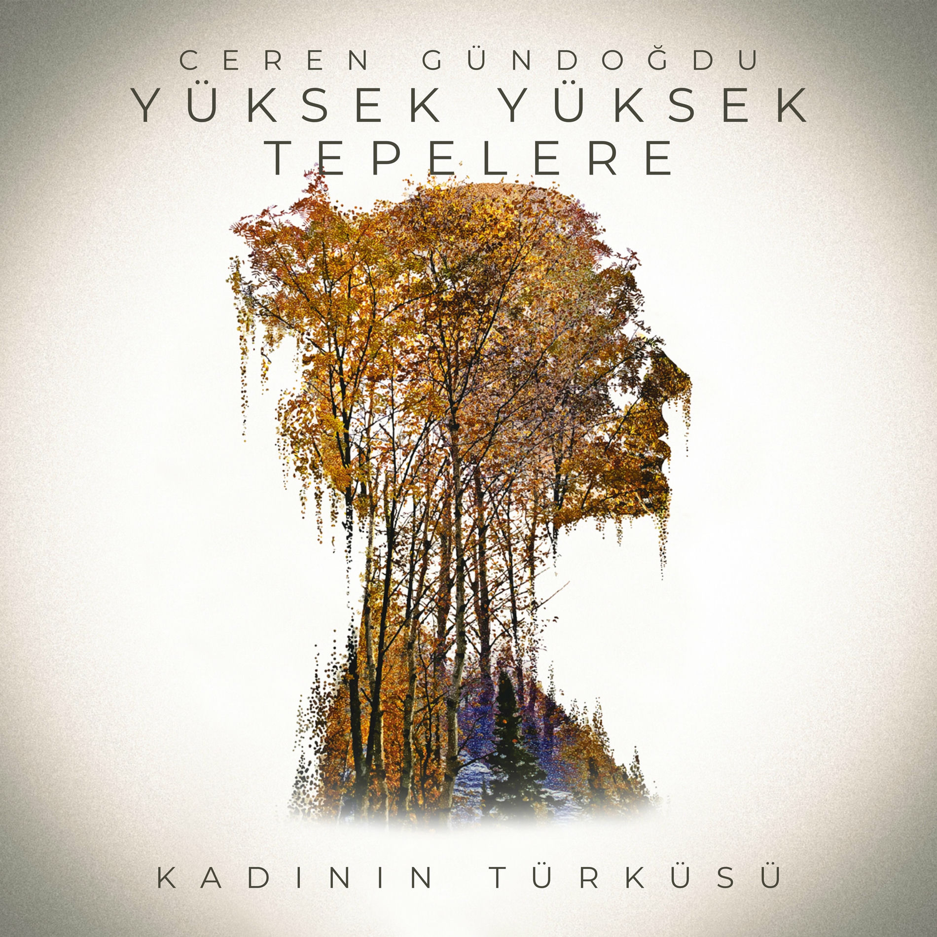 Album cover of Yüksek Yüksek Tepelere (Kadının Türküsü)
