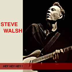 Cover of Hey Hey Hey!