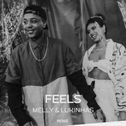 Cover of FEELS
