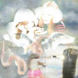 Cover of catch these fists