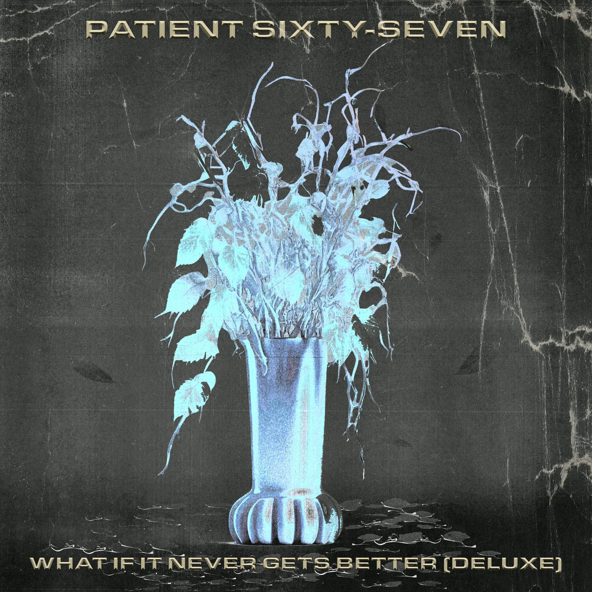 Album cover of What If It Never Gets Better (Deluxe)