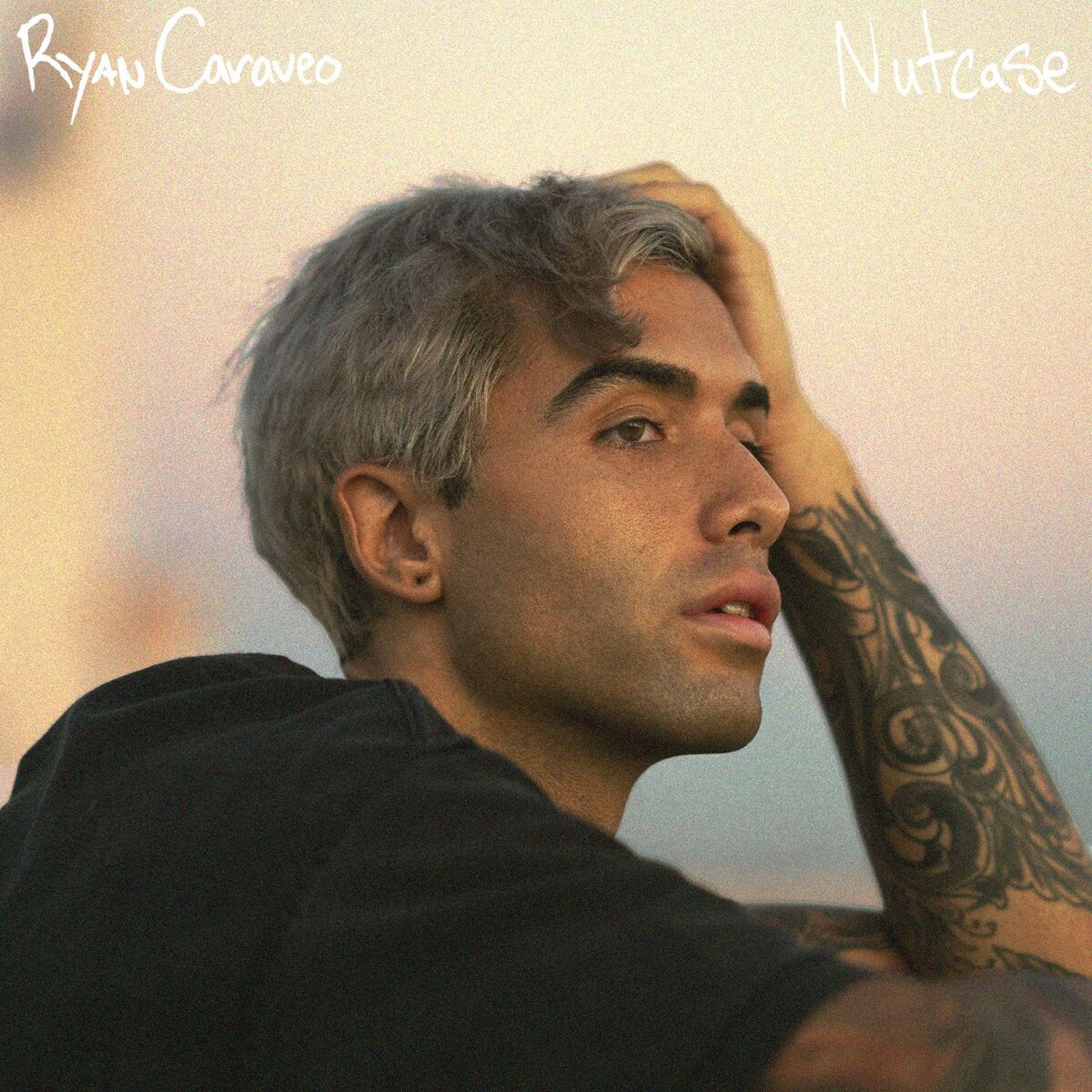 Album cover of Nutcase