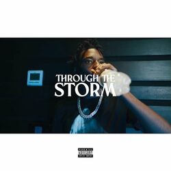 Cover of Through the Storm