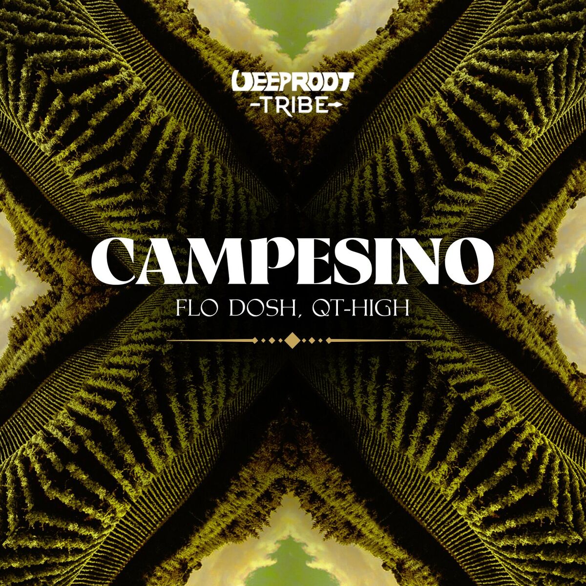 Album cover of Campesino