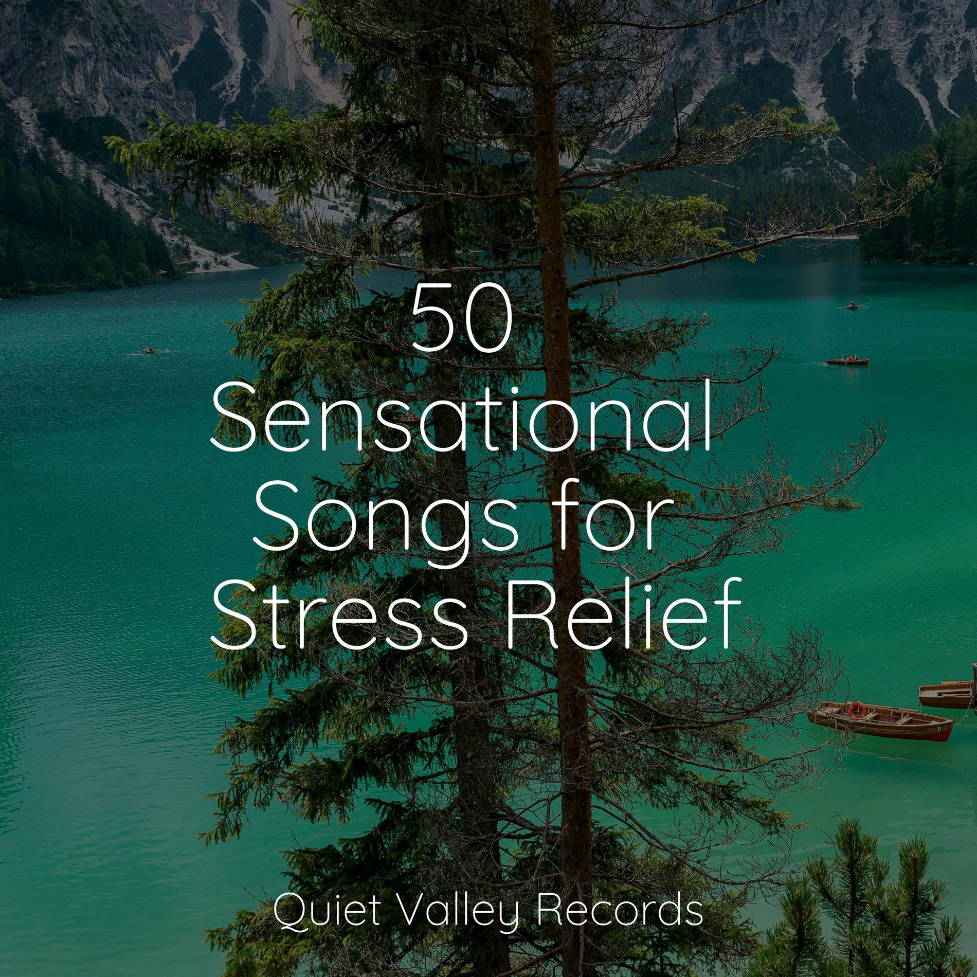 Album cover of 50 Sensational Songs for Stress Relief