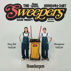 Cover of Sweepers