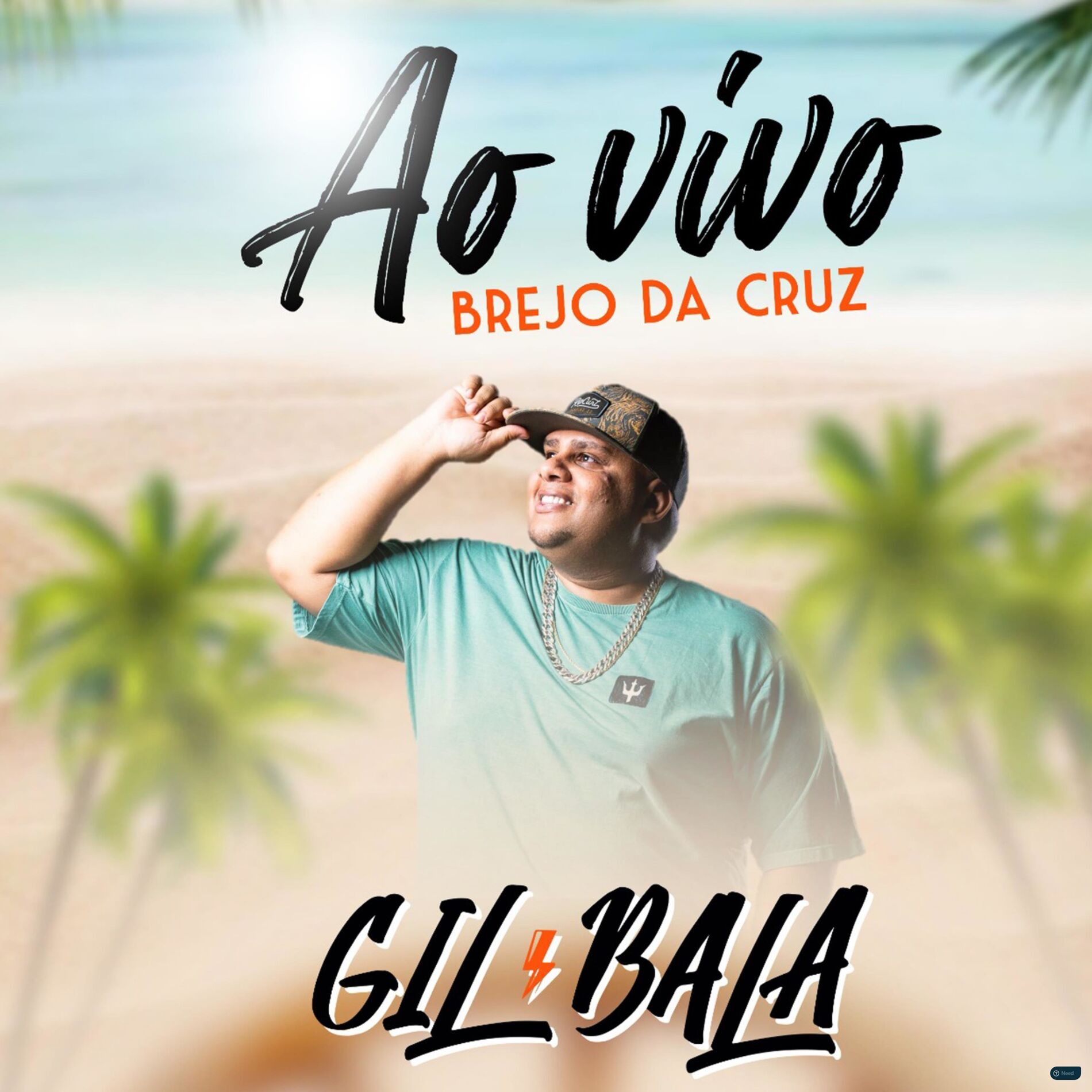 Album cover of Brejo da Cruz (Ao Vivo )
