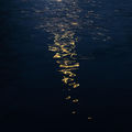 shallows