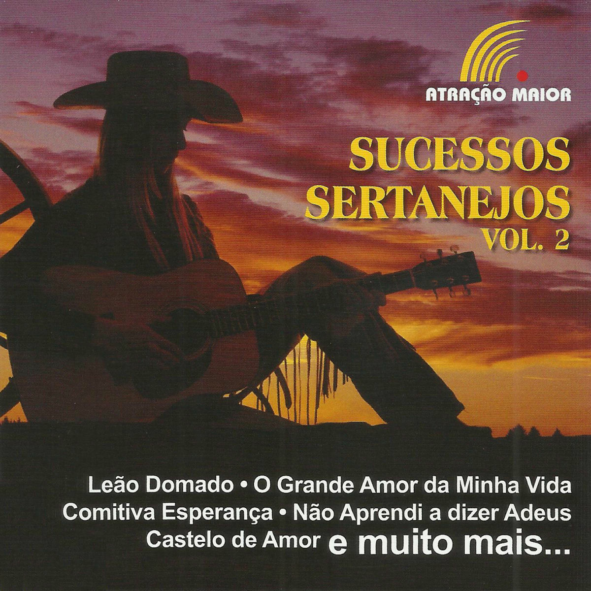 Album cover of Sucessos Sertanejos, Vol 2