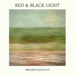 Cover of Red & Black Light