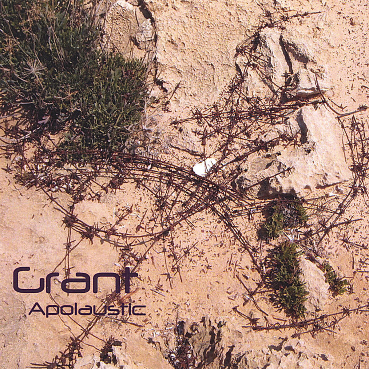 Album cover of Apolaustic
