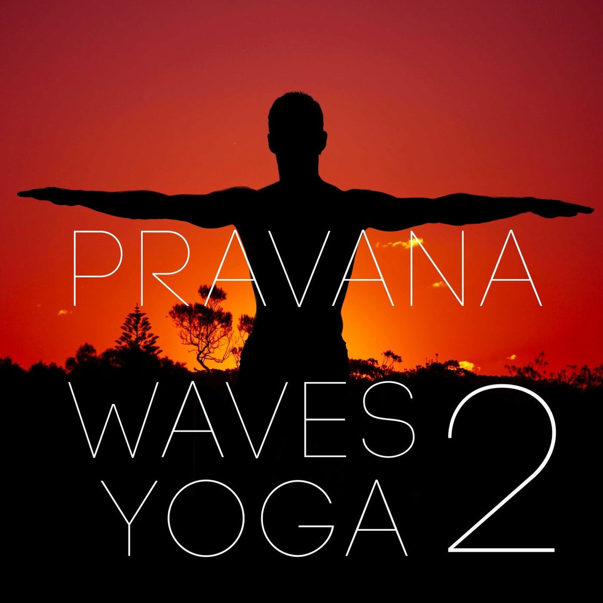 Album cover of Pravana Waves Yoga 2