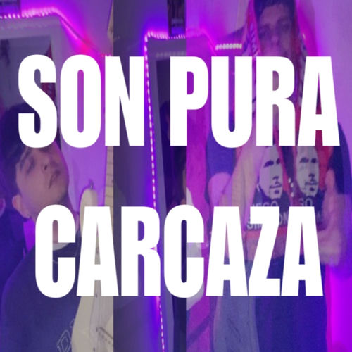 son pura carcaza