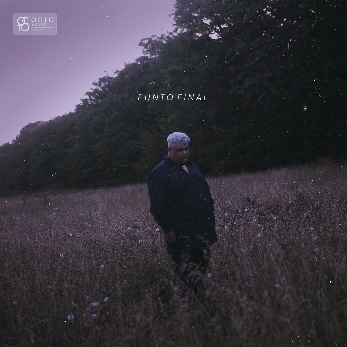 Album cover of Punto Final