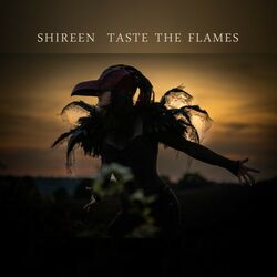 Cover of Taste the Flames