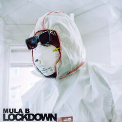 Cover of Lockdown