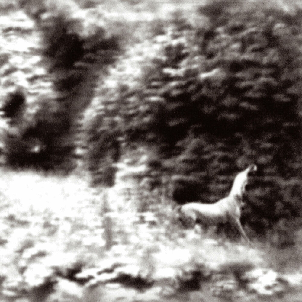 Picture of Ghost Days (Nouvelle Edition)