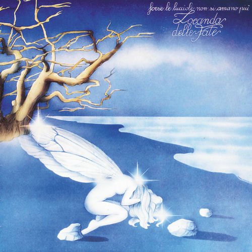 Forse le lucciole non si amano più 500x500.jpg