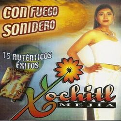 Cover of Con Fuego Sonidero