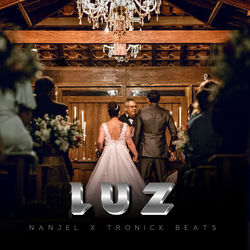Cover of Luz by undefined