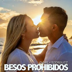 Cover of Besos Prohibidos