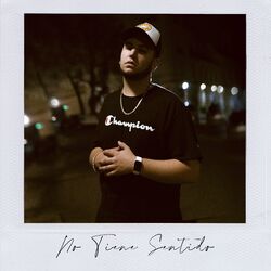 Cover of No Tiene Sentido