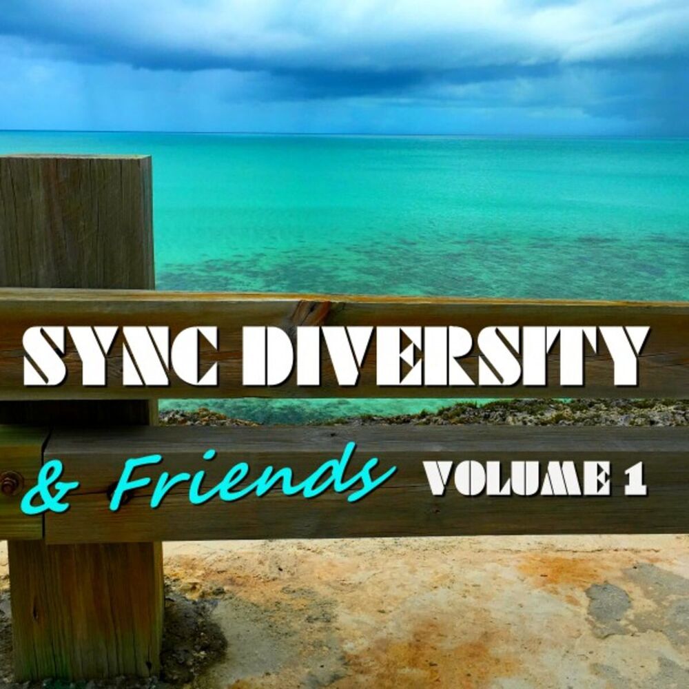 Picture of Sync Diversity & Friends, Vol. 1