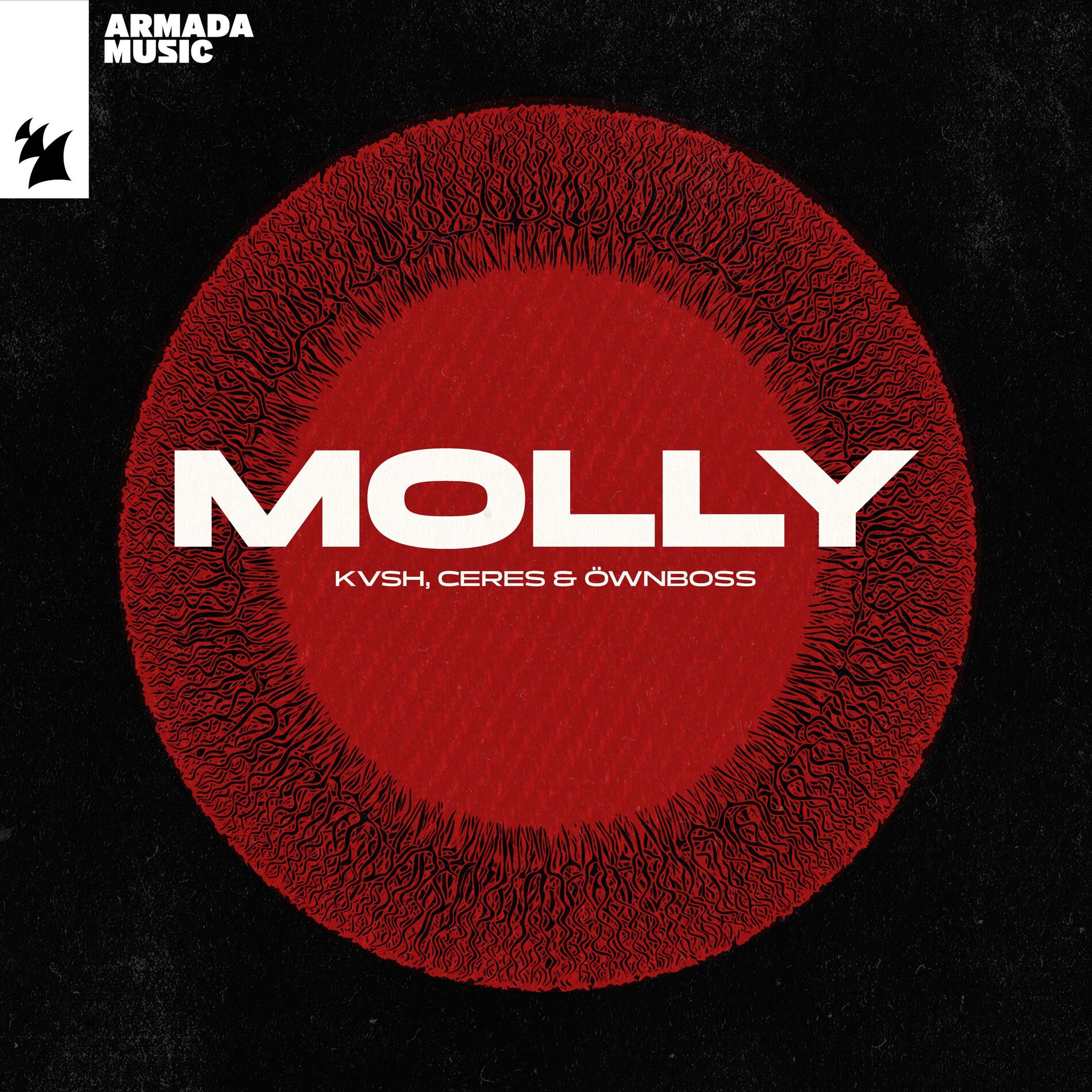 Album cover of Molly