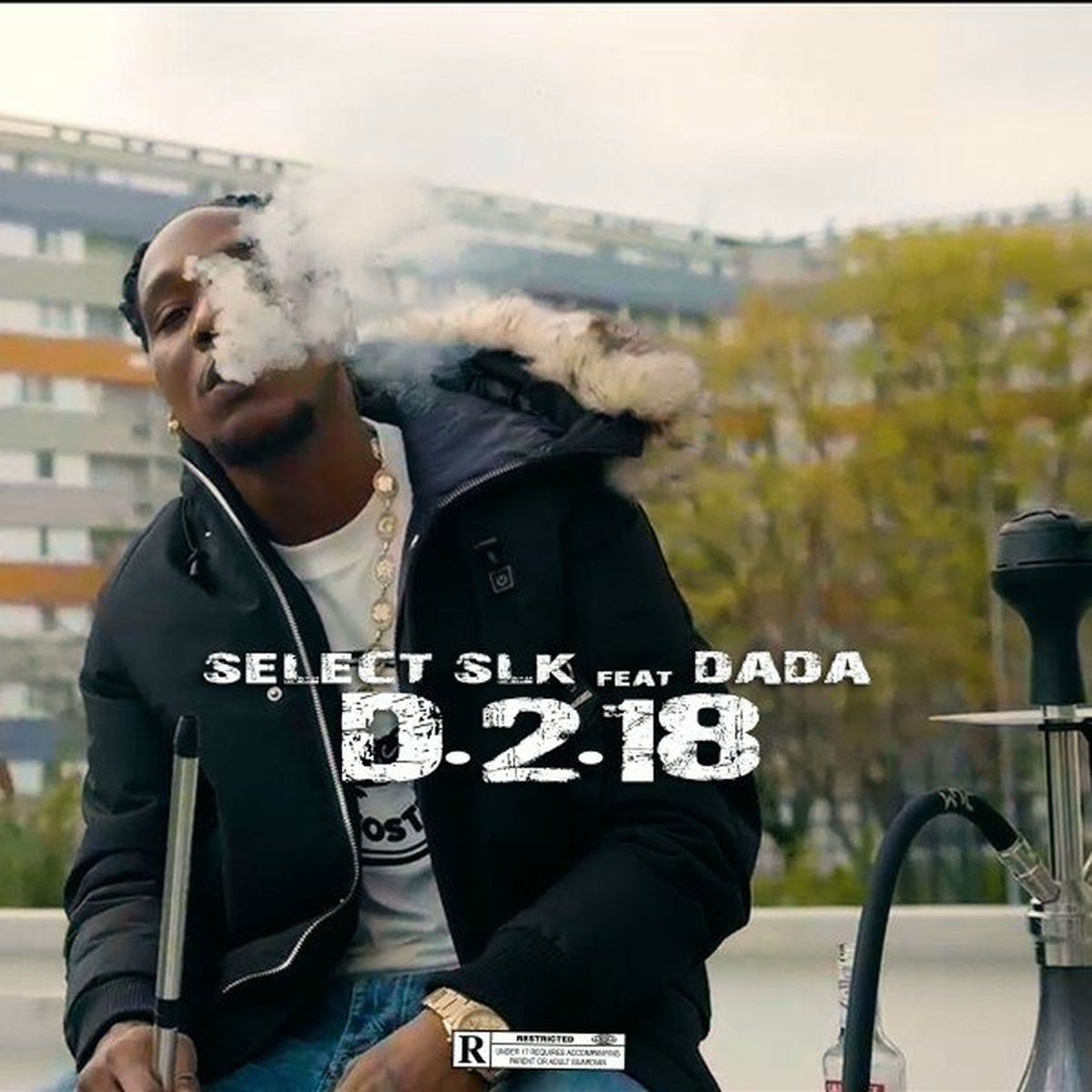 Album cover of D.2.18