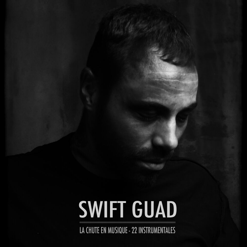 Picture of La chute en musique (La chute des corps version instrumentale)