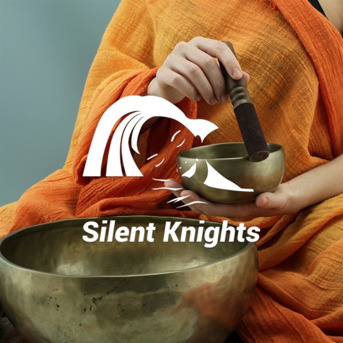 Album cover of Healing Sleep Music
