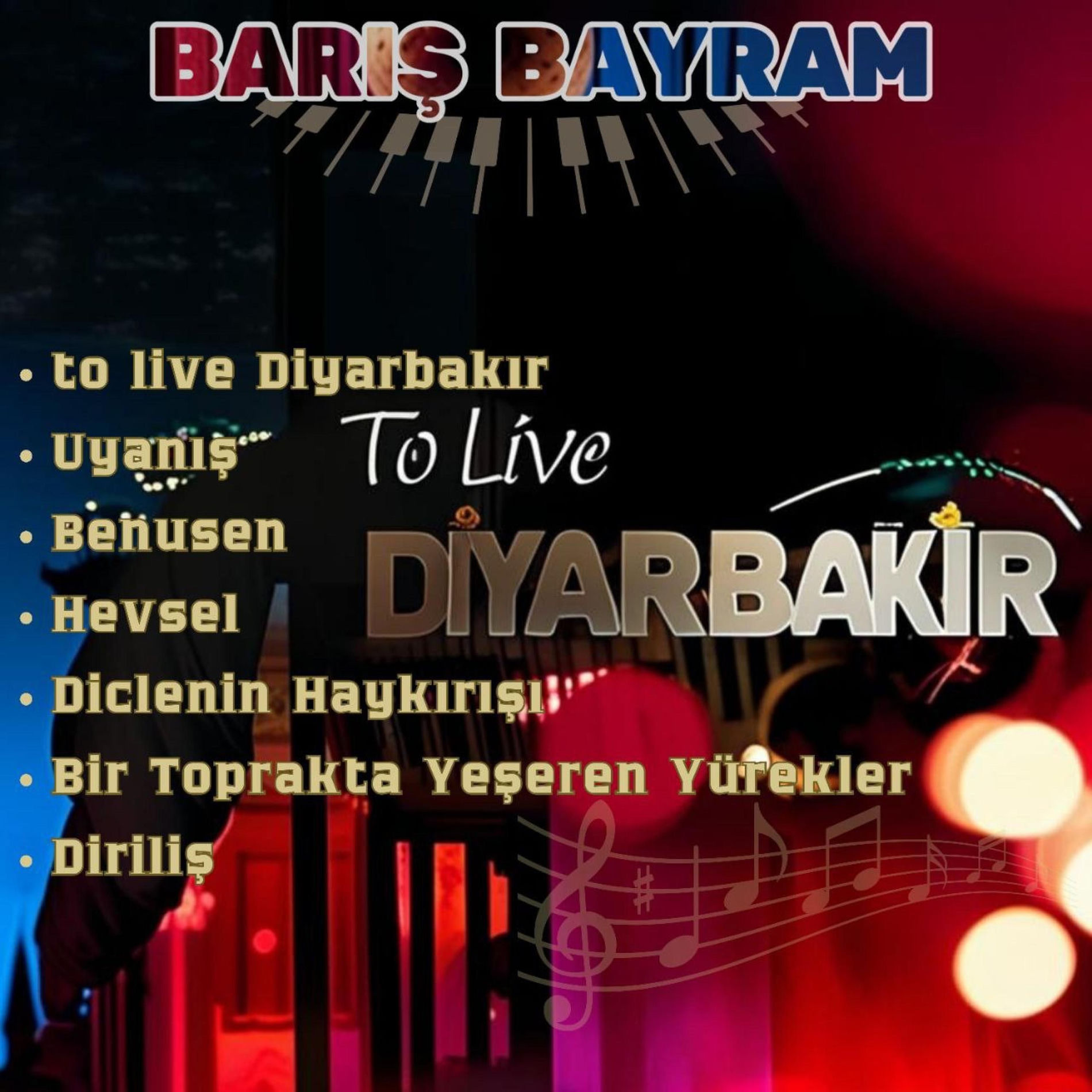Album cover of To Live Diyarbakır