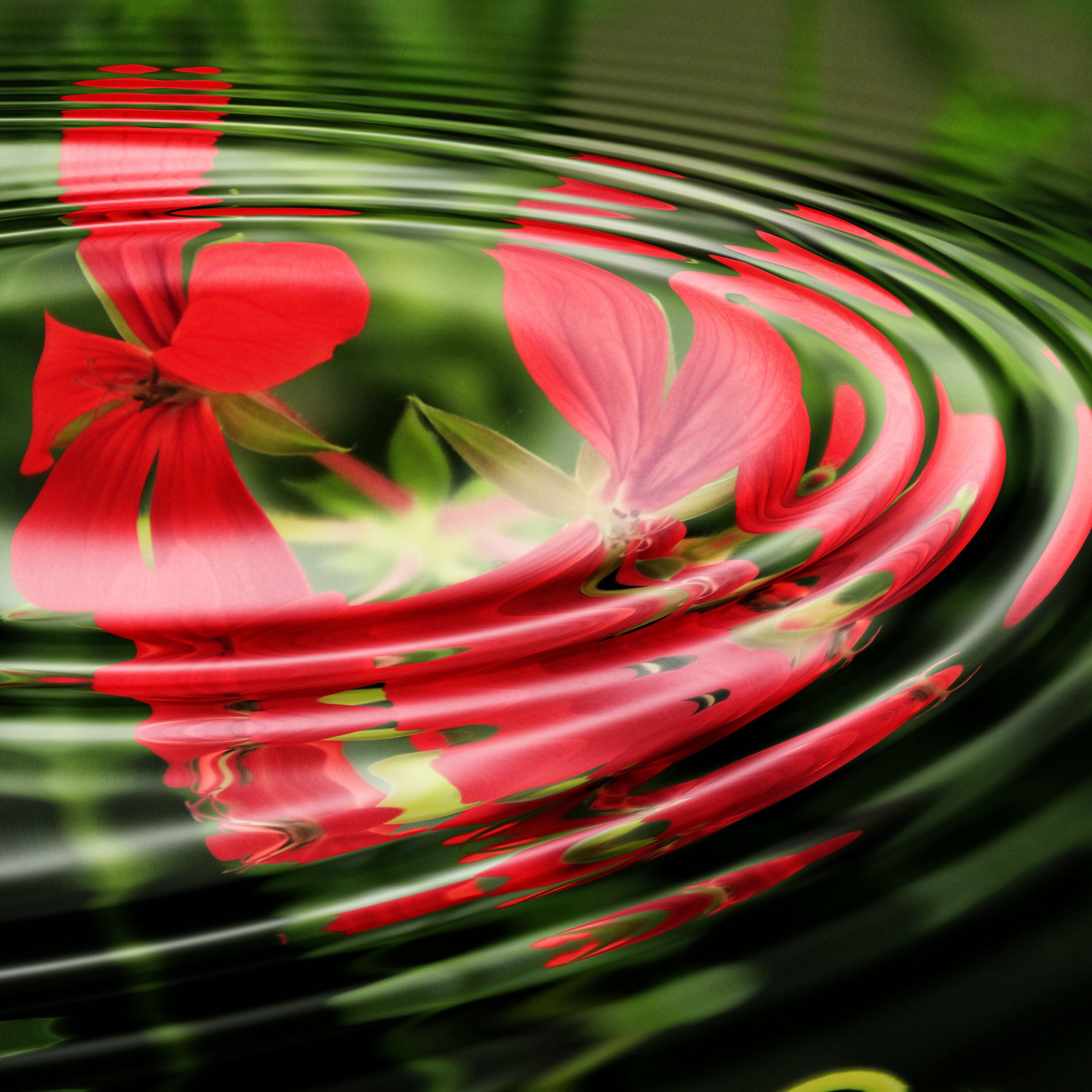 Album cover of Soft Music for Studying - Focus and Concentration