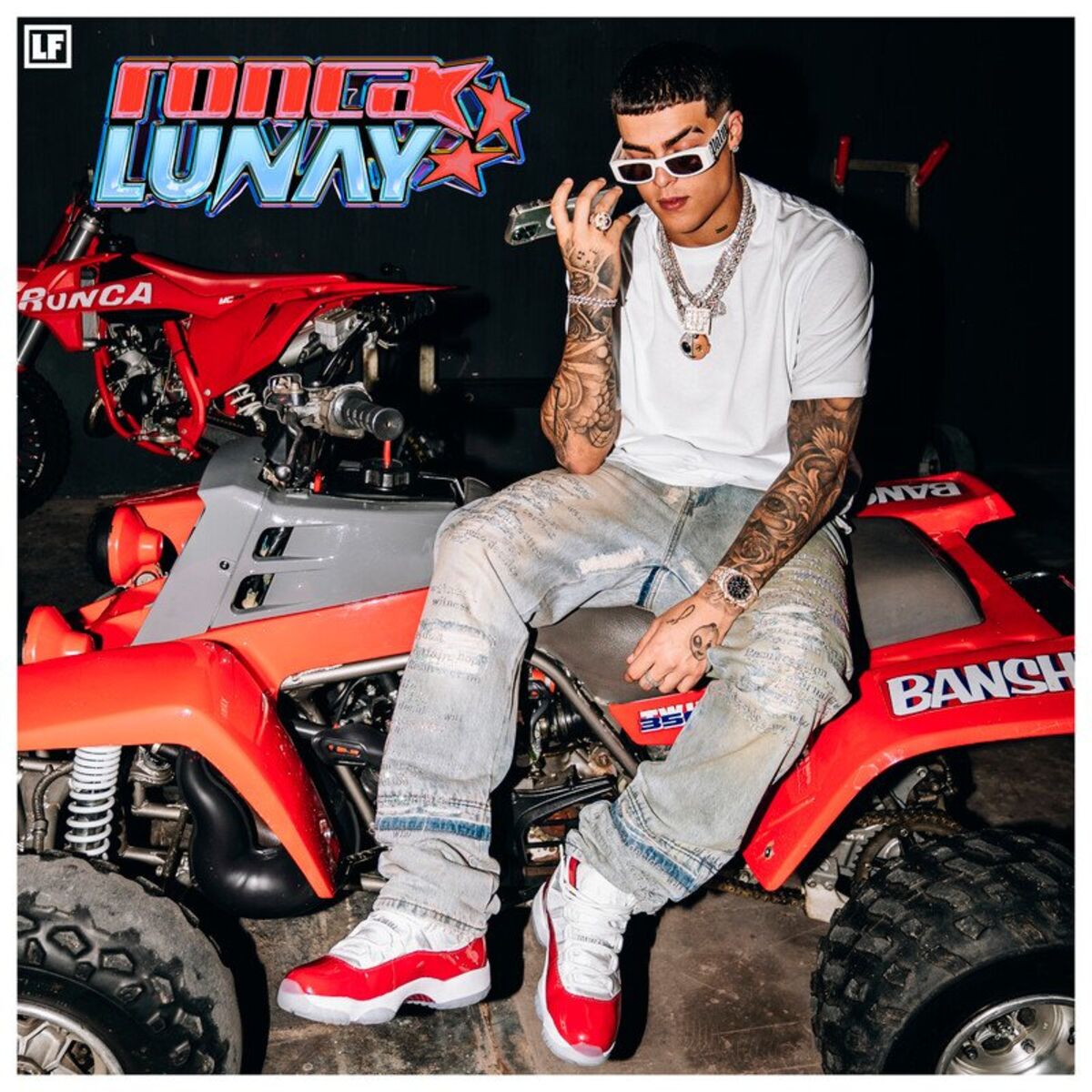 Album cover of Ronca