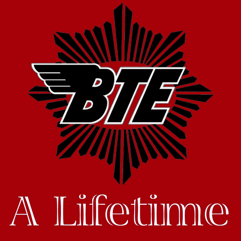 Picture of A Lifetime - Single