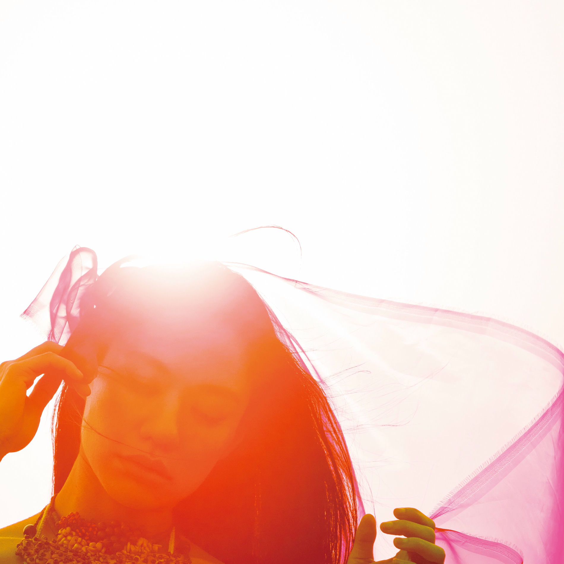 Album cover of THE UNION