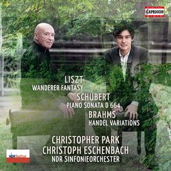 Cover of Liszt, Schubert & Brahms: Works
