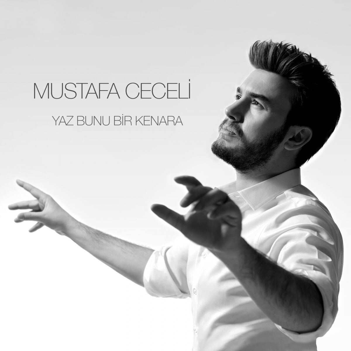 Album cover of Yaz Bunu Bir Kenara
