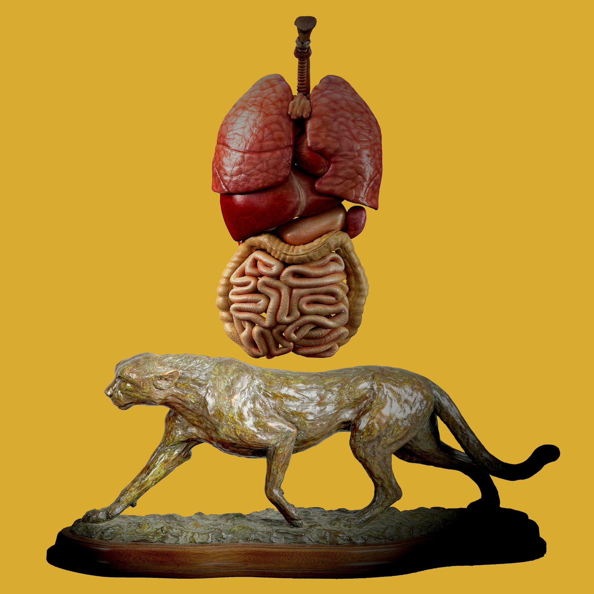Album cover of Three Sided Tape Volume One