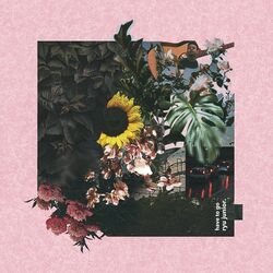 Cover of Have To Go
