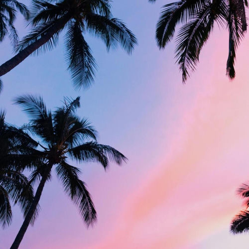 Sunny Day in Paradise