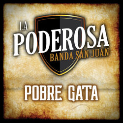 Cover of Pobre Gata