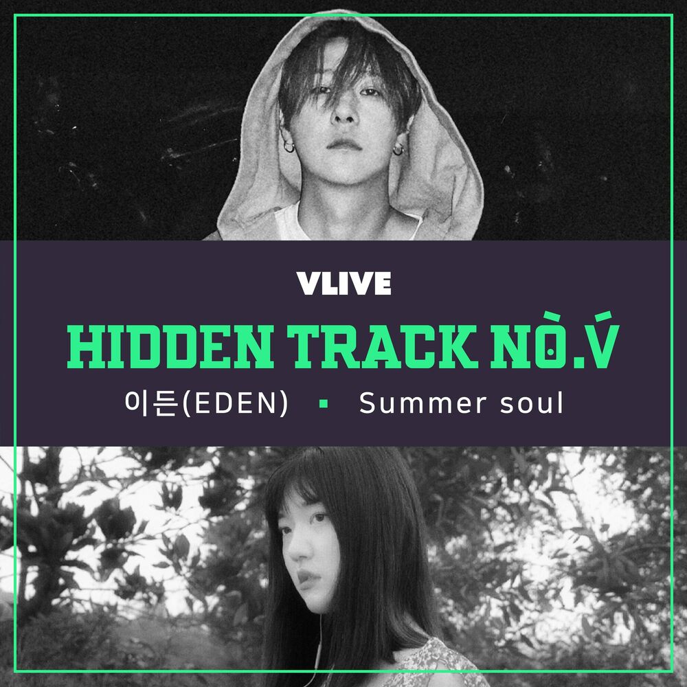 Picture of Hidden Track No.V Vol.5