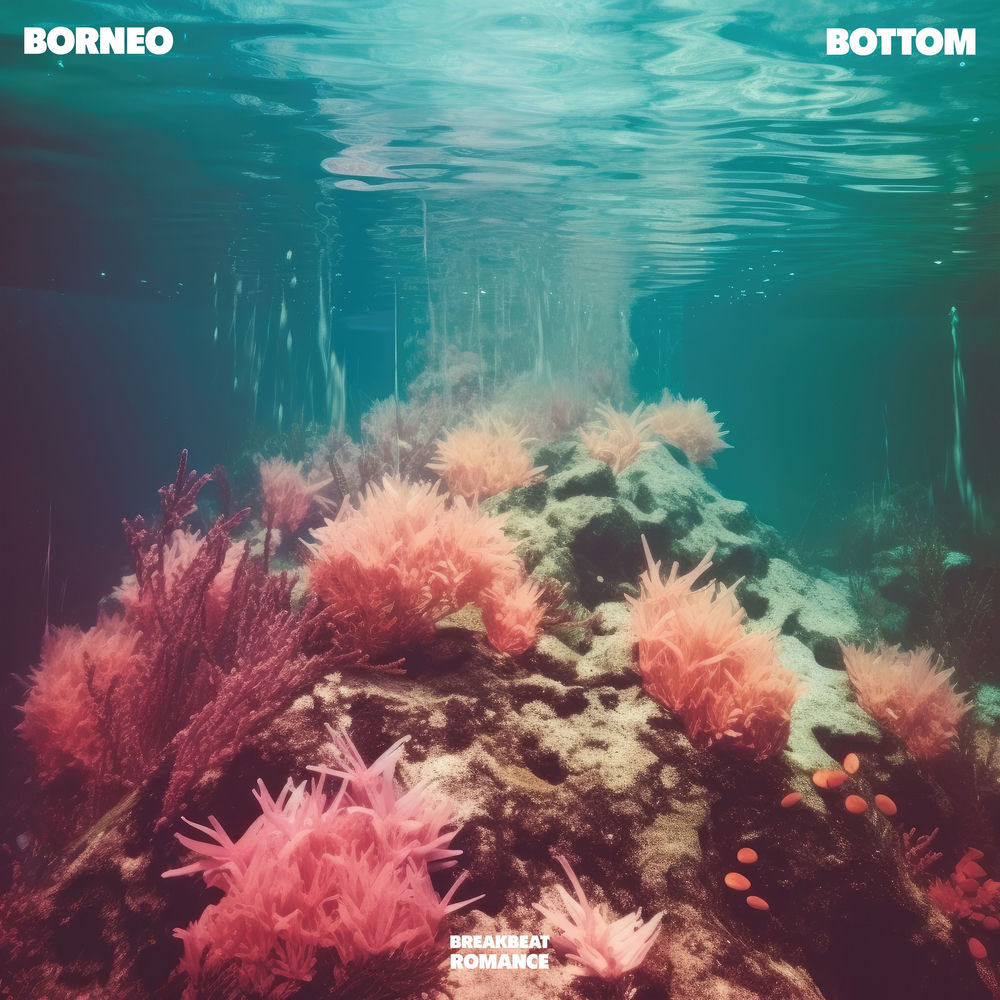 Album artwork for Bottom by Borneo