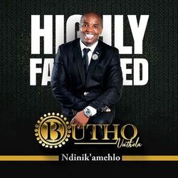 Cover of Ndinik'amehlo