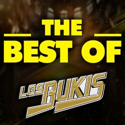 Album THE BEST OF